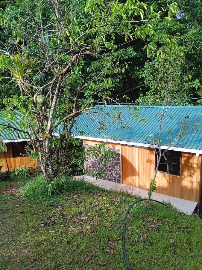 Cabanas Bajo Bosque Drake Drakes Bay エクステリア 写真