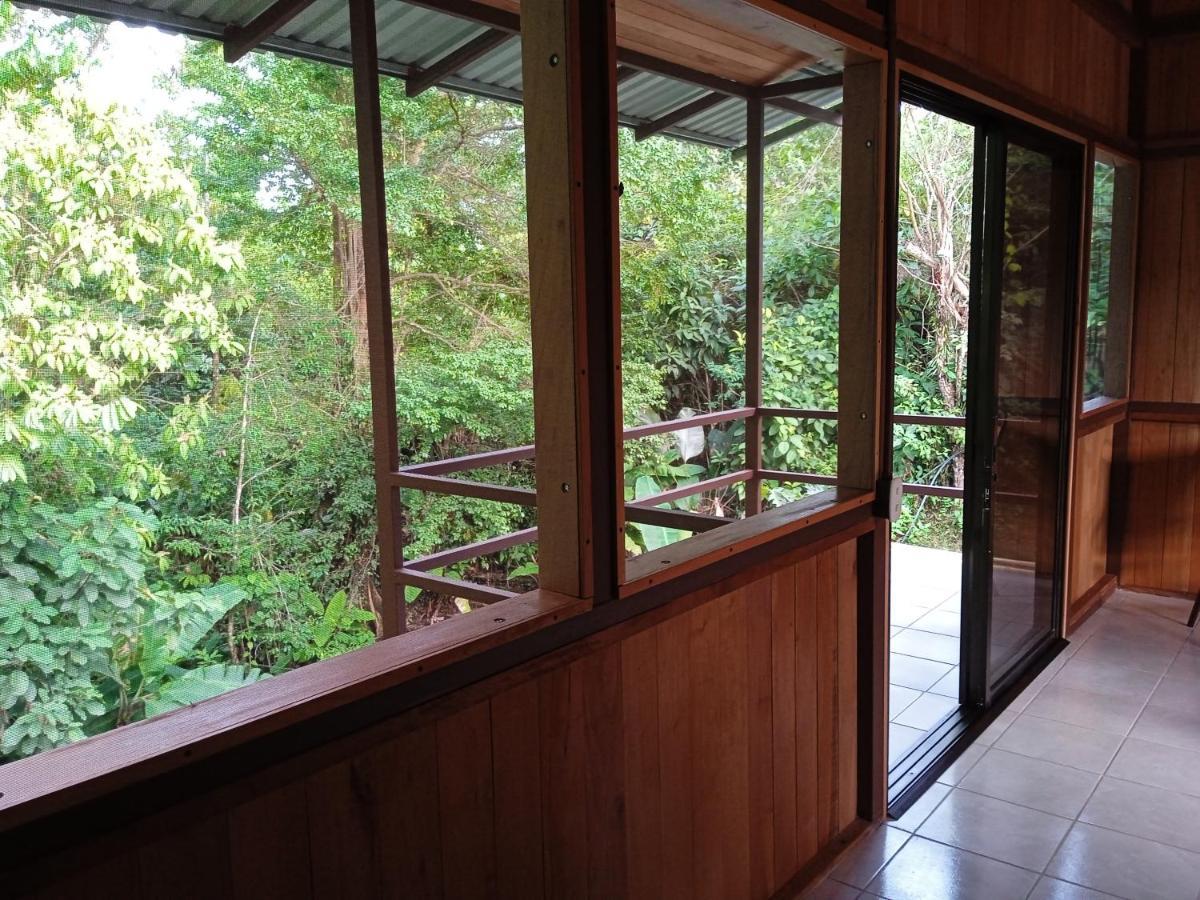 Cabanas Bajo Bosque Drake Drakes Bay エクステリア 写真