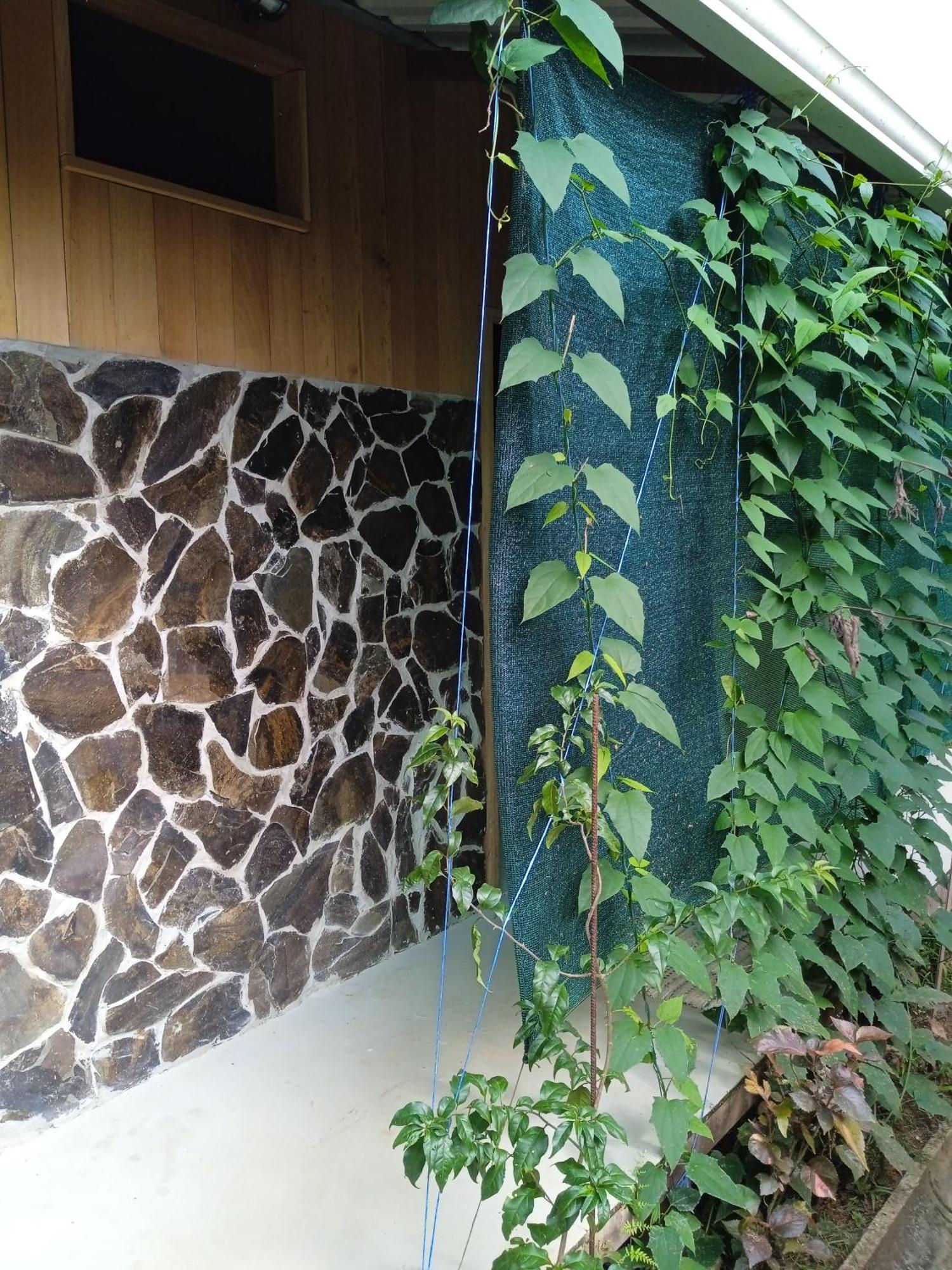 Cabanas Bajo Bosque Drake Drakes Bay エクステリア 写真
