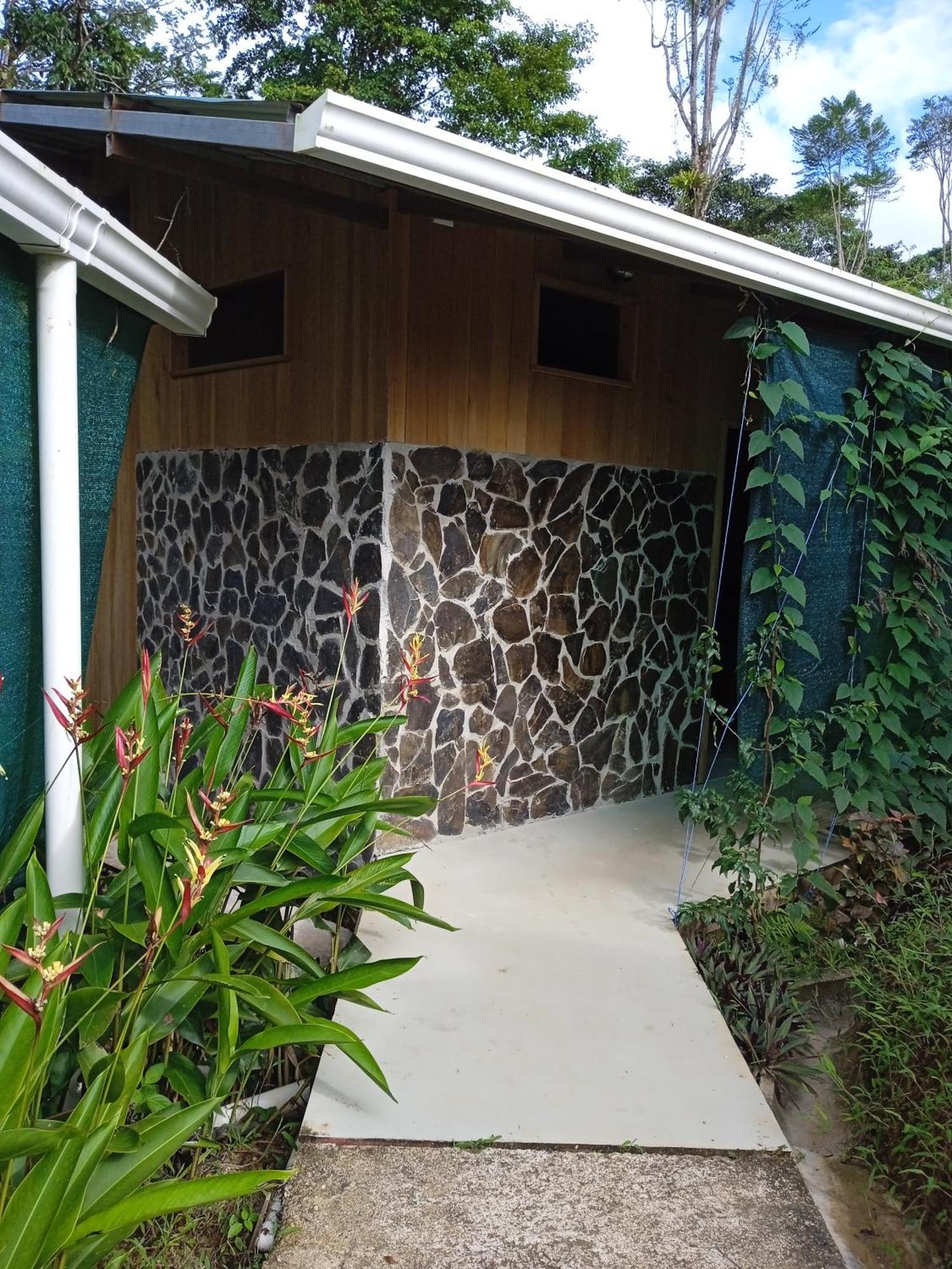 Cabanas Bajo Bosque Drake Drakes Bay エクステリア 写真