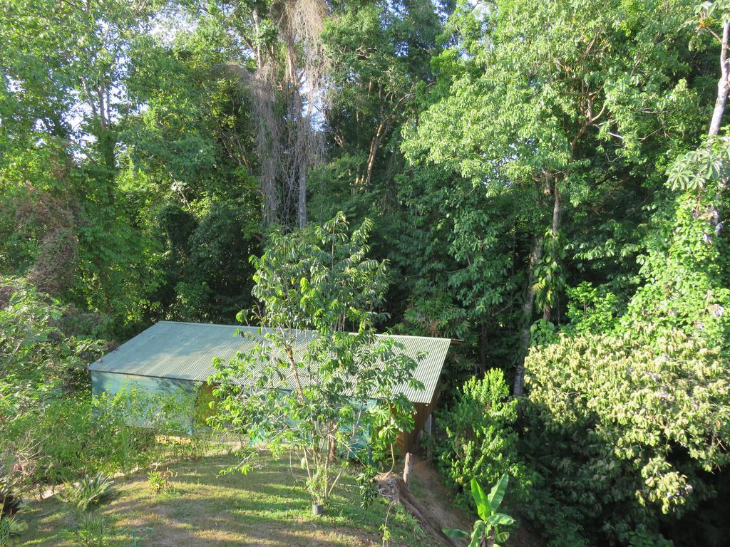 Cabanas Bajo Bosque Drake Drakes Bay エクステリア 写真
