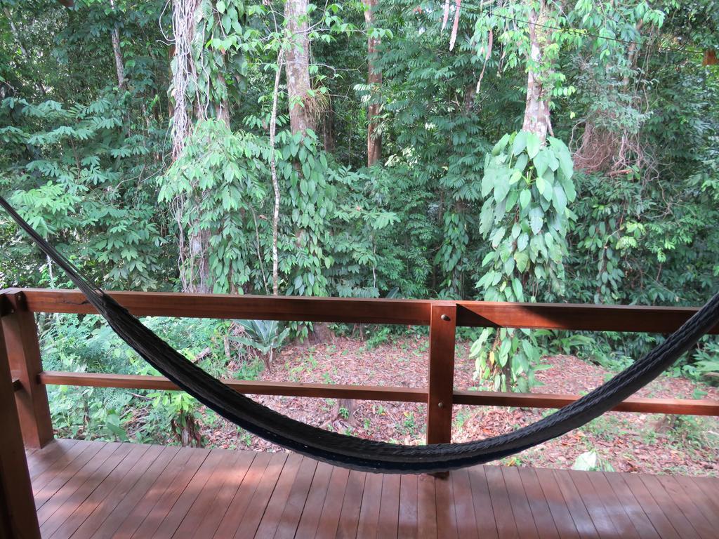 Cabanas Bajo Bosque Drake Drakes Bay エクステリア 写真